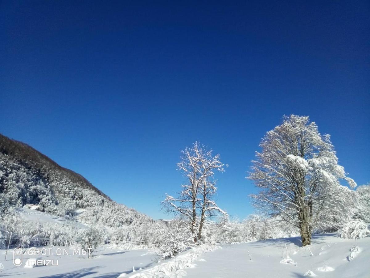 Nasa Kuca-Verusa Bagian luar foto
